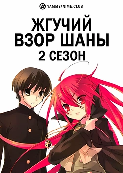 Постер к аниме Возмездие раненой святой