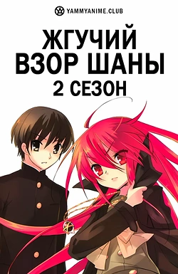 Постер к аниме Возмездие раненой святой